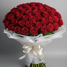 Букет 101 Красная роза Блэк Мэджик в Крымгиреевском