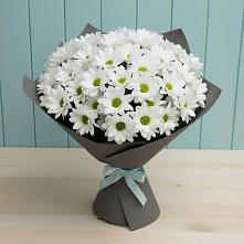 Букет цветов из:  Хризантемы в Крымгиреевском