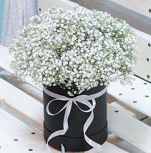 Цветочная композиция из Гипсофила в шляпной коробке #REPLACE_PRED# Крымгиреевском