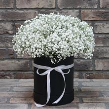 Цветочная композиция из Гипсофила в шляпной коробке #REPLACE_PRED# Крымгиреевском