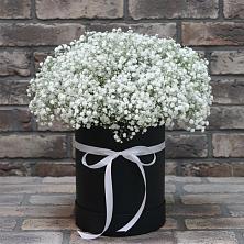 Цветочная композиция из Гипсофила в шляпной коробке в Крымгиреевском