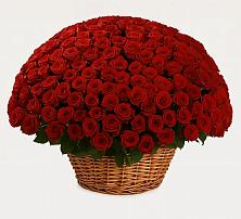 Премиум букет из: Розы в Крымгиреевском